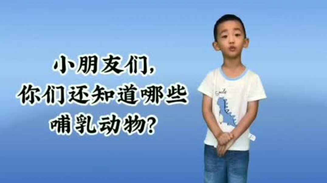 哺乳动物