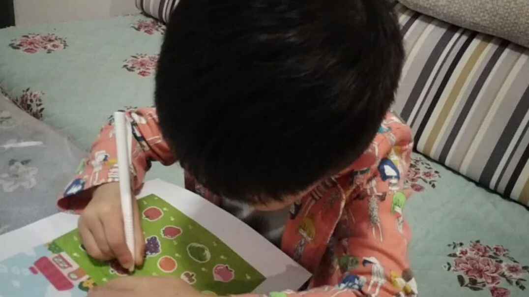 蔬菜大丰收