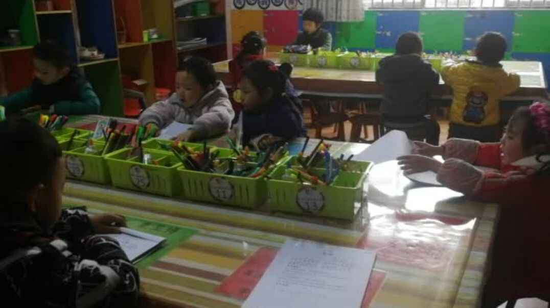 品德与专注力1