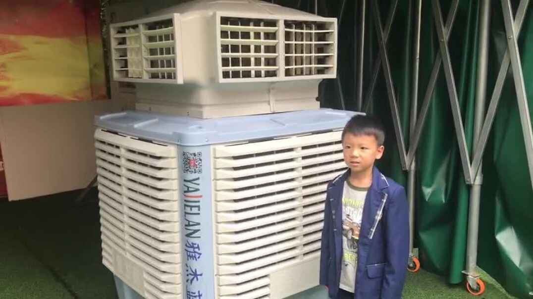 我的分享