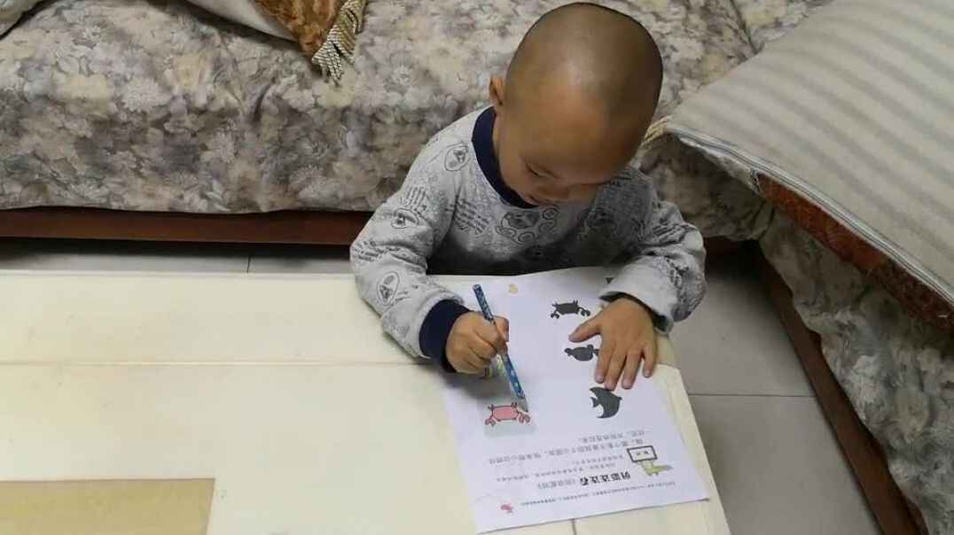 苹果汁是什么做的