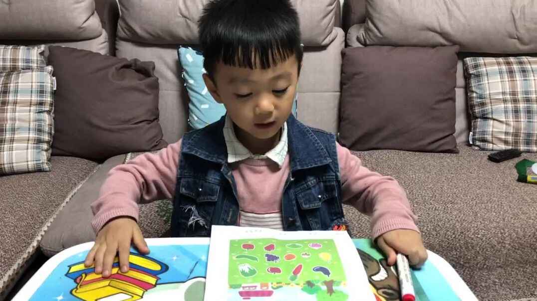 2019.10.17大A班诸遇安小朋友——不同类别