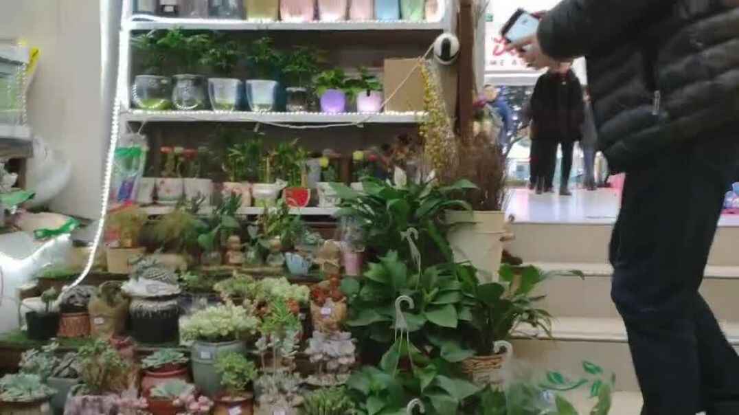 选购（1
