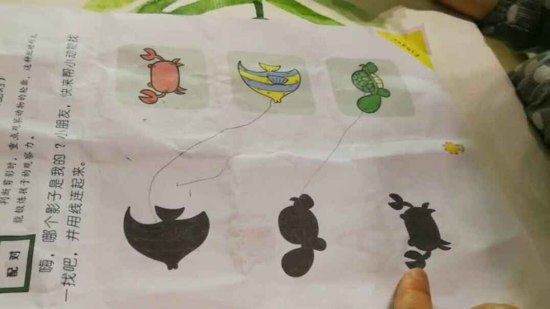 动物连线