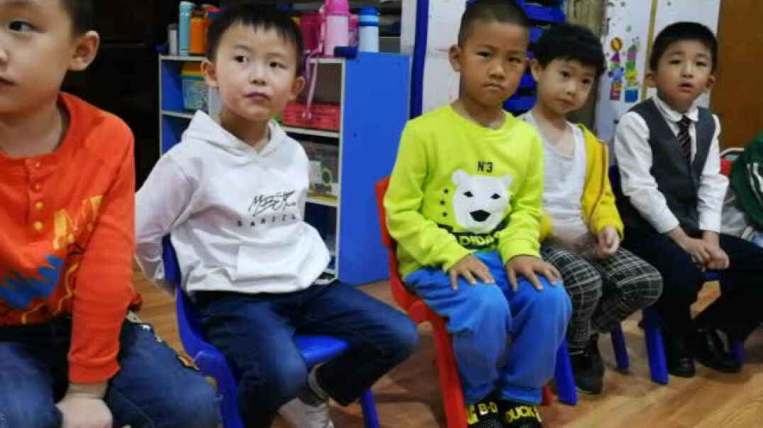 行动课程—品德与专注力3