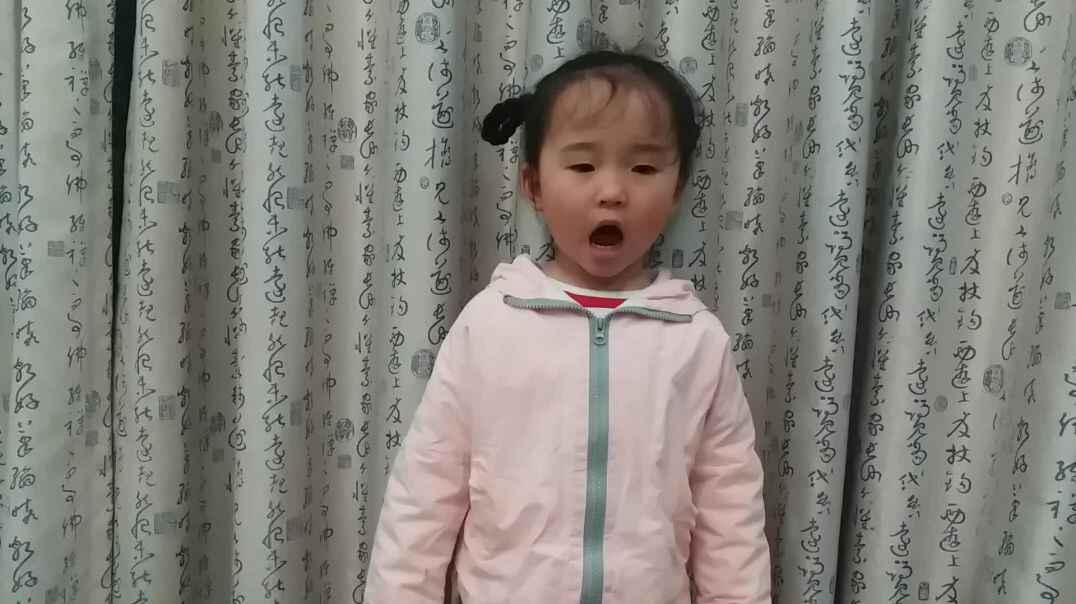 古诗复习