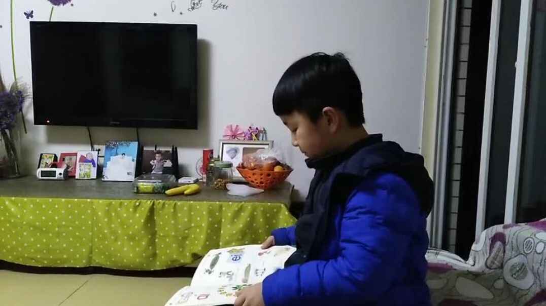 认真学习的萌娃