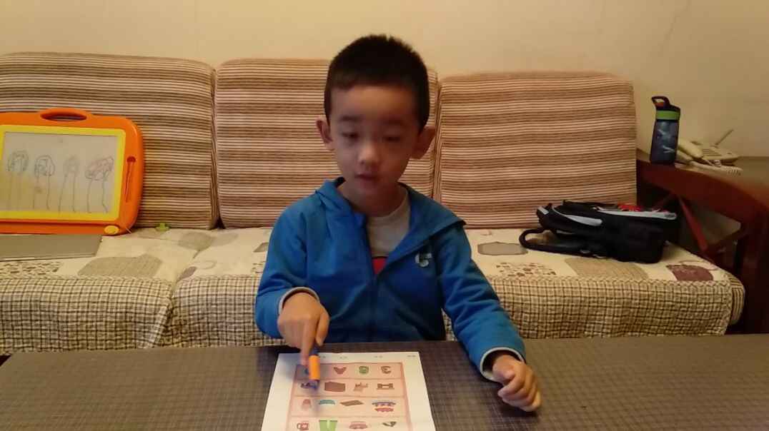 2019.10.15大A班王梓熙小朋友——亲子练习《不同类别》.mp4
