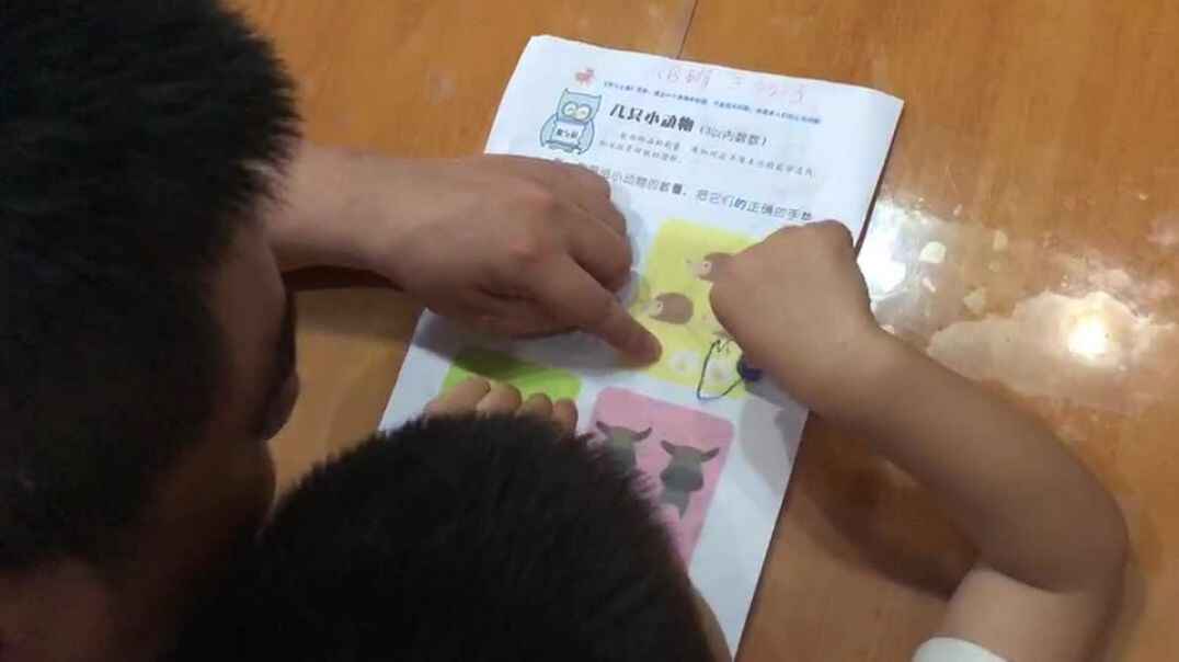 爸爸陪我学习