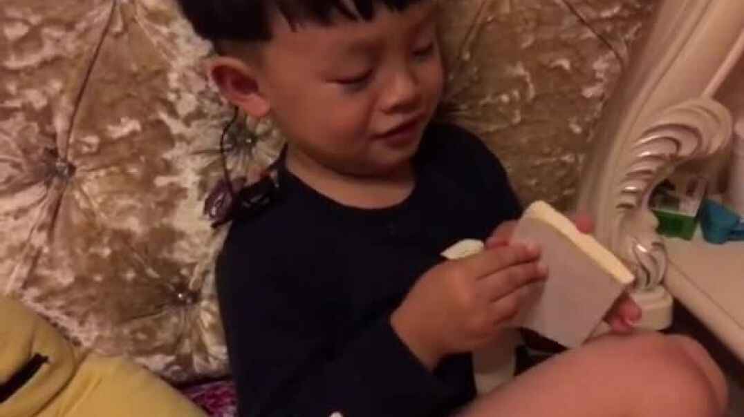 学读萤火虫
