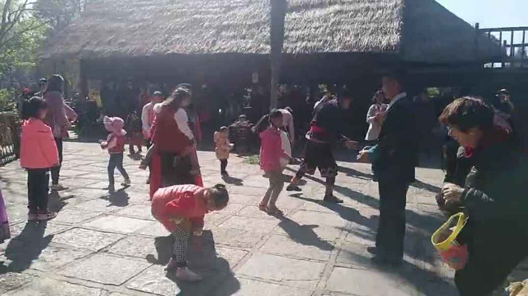 我的学习生活8