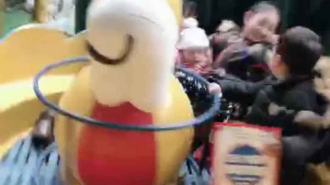 玩耍