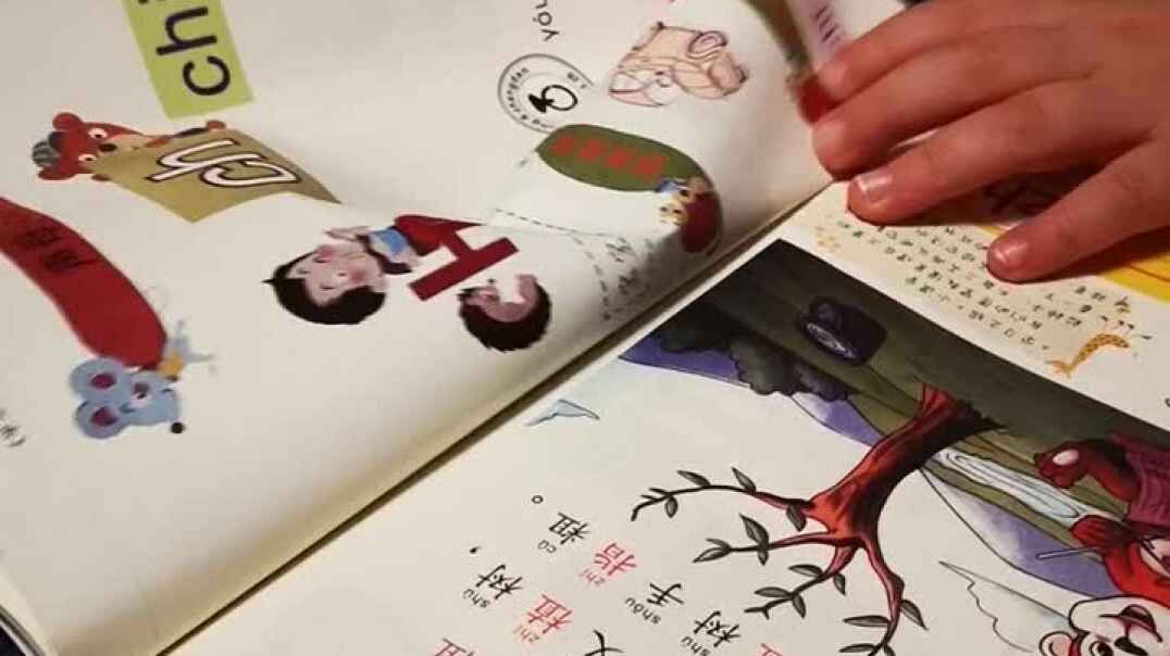 VID_20191031_183144.mp4