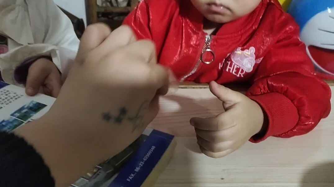 修补图书和纸