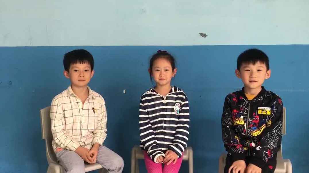 表达的能力