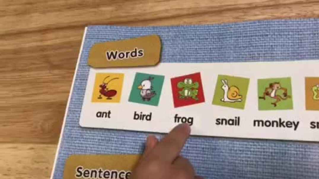 2019.10.28实验中班6号作业反馈