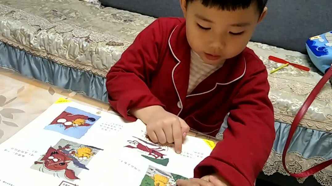 聪明的小鸡.mp4