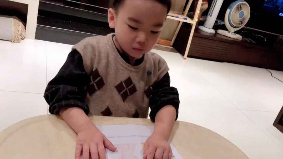 它们是用什么做的
