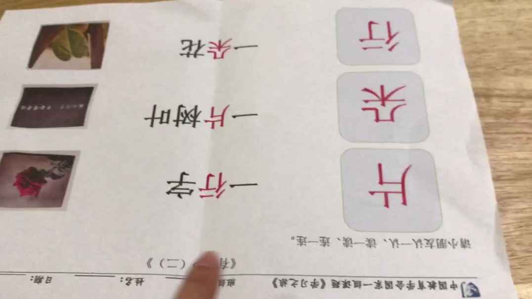 2019.10.8实验中班6号作业反馈