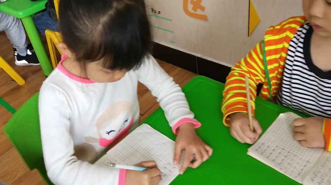 认真学习的小萌娃