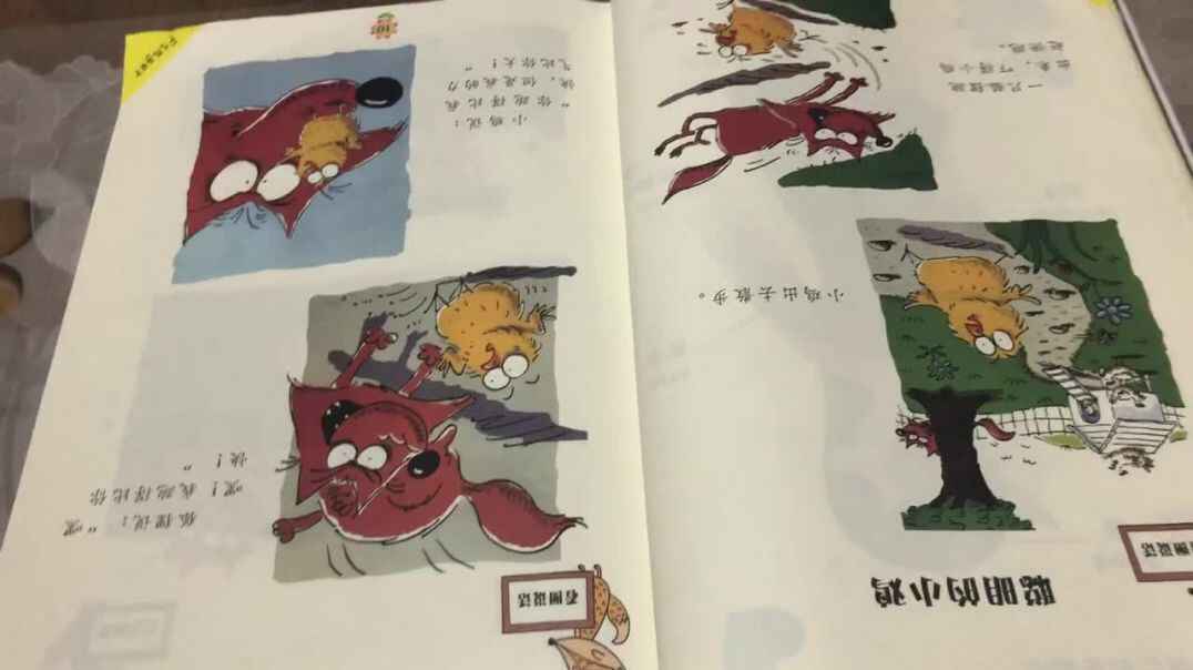 聪明的小鸡
