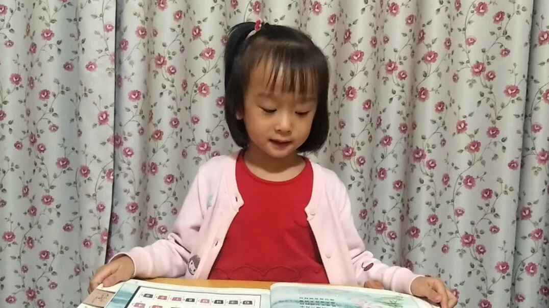 晓出净慈寺送林子方