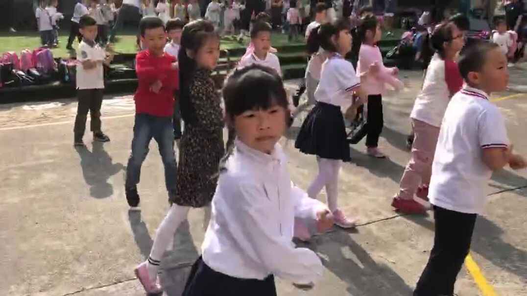 运动