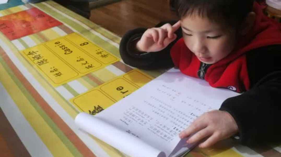 品德与专注力3.