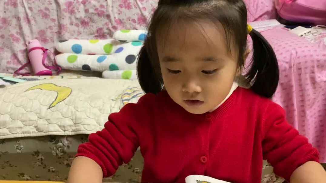 聪明的小鸡