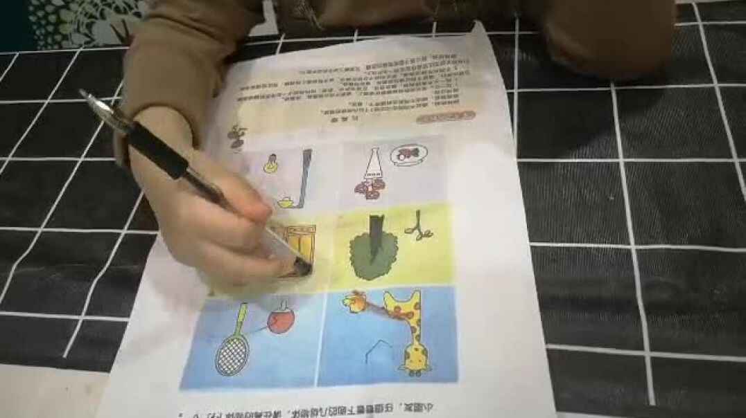 张嘉倪10-24家庭作业
