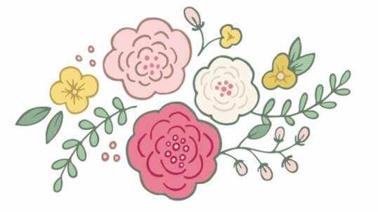 油菜花
