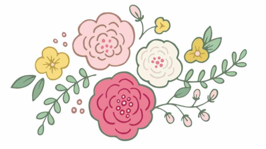含羞草