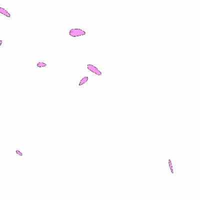 多源 