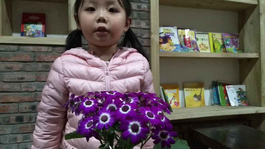 认识鲜花