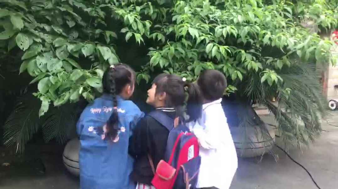 我的探索
