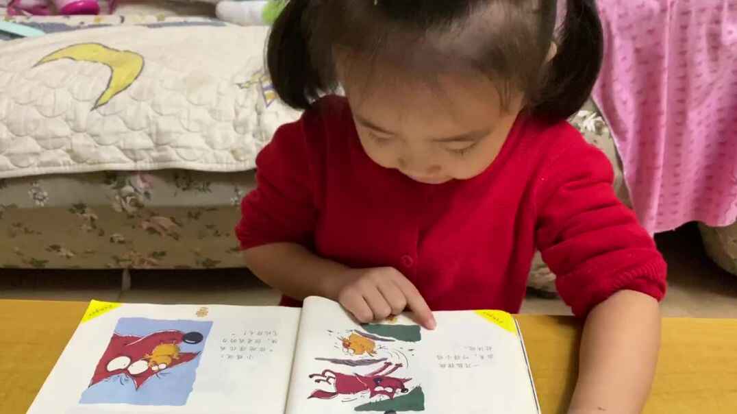聪明的小鸡