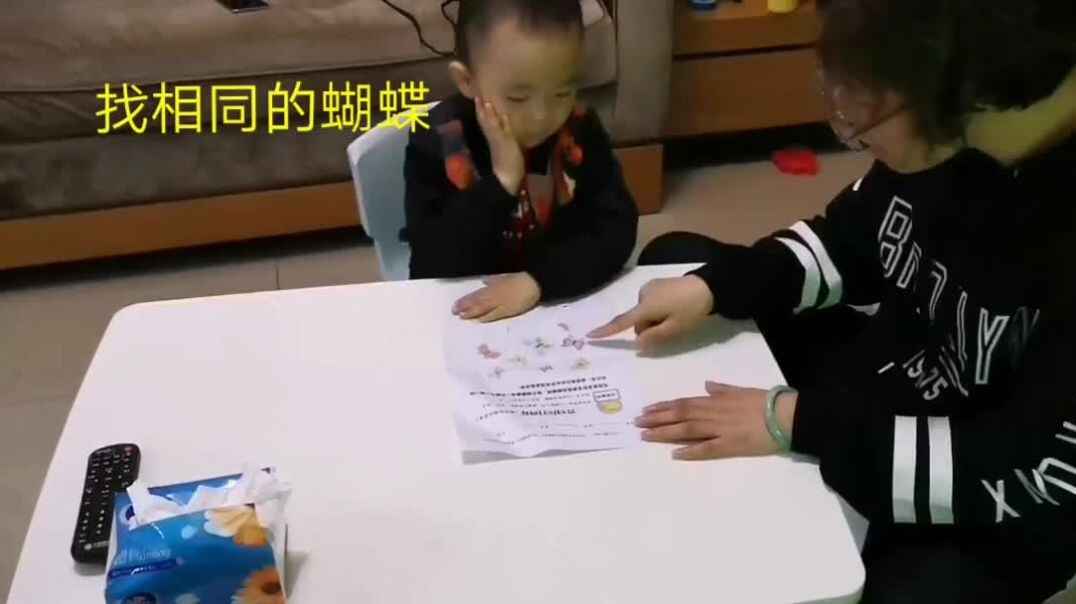 找相同的蝴蝶