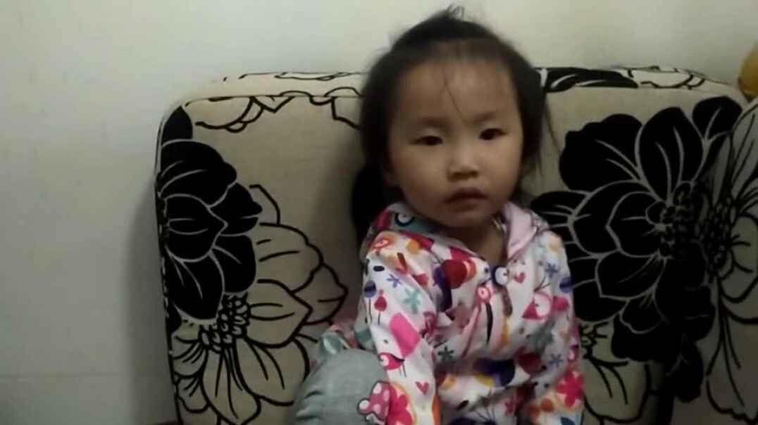奶奶陪我看图书