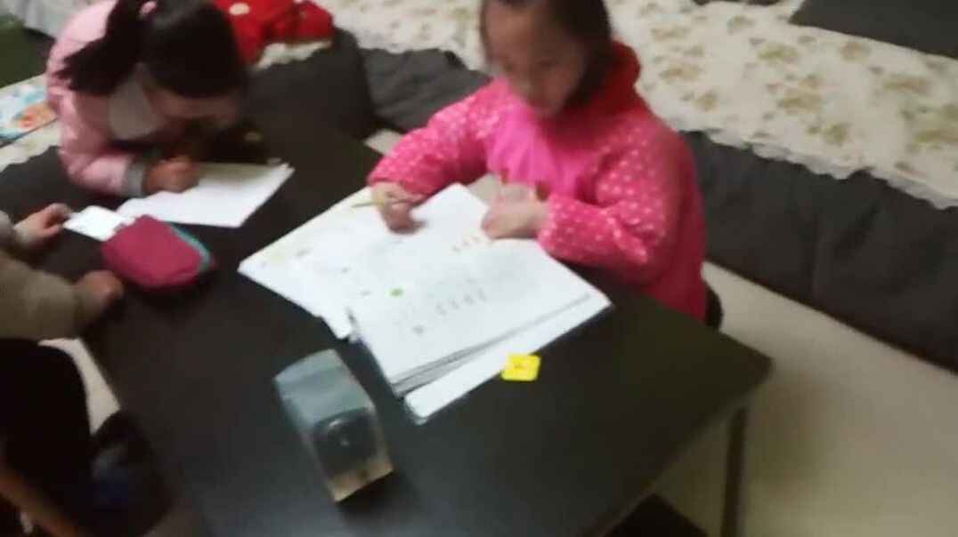 我的假期生活7