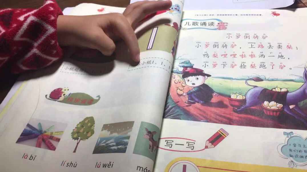 复习声母l
