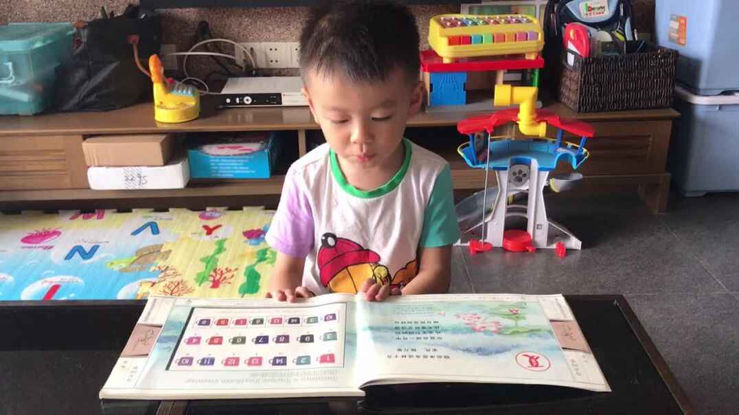 复习晓出净慈寺送林子方