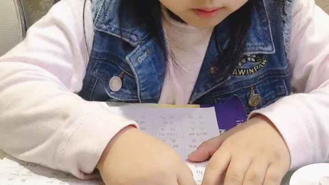 陈栖孛拼音作业