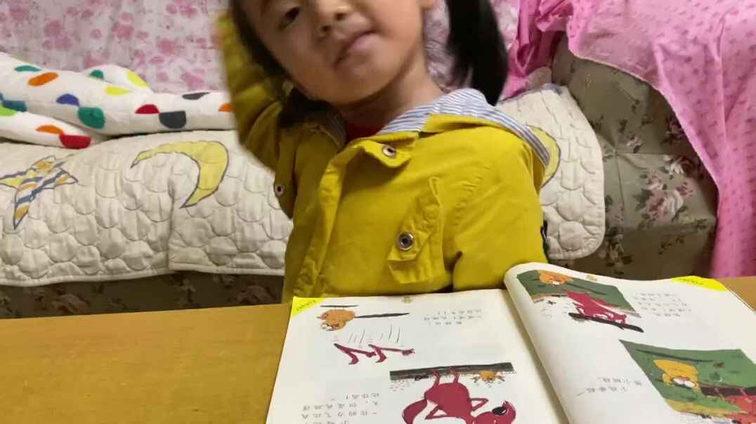 聪明的小鸡