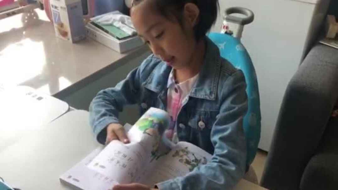 我的故事书