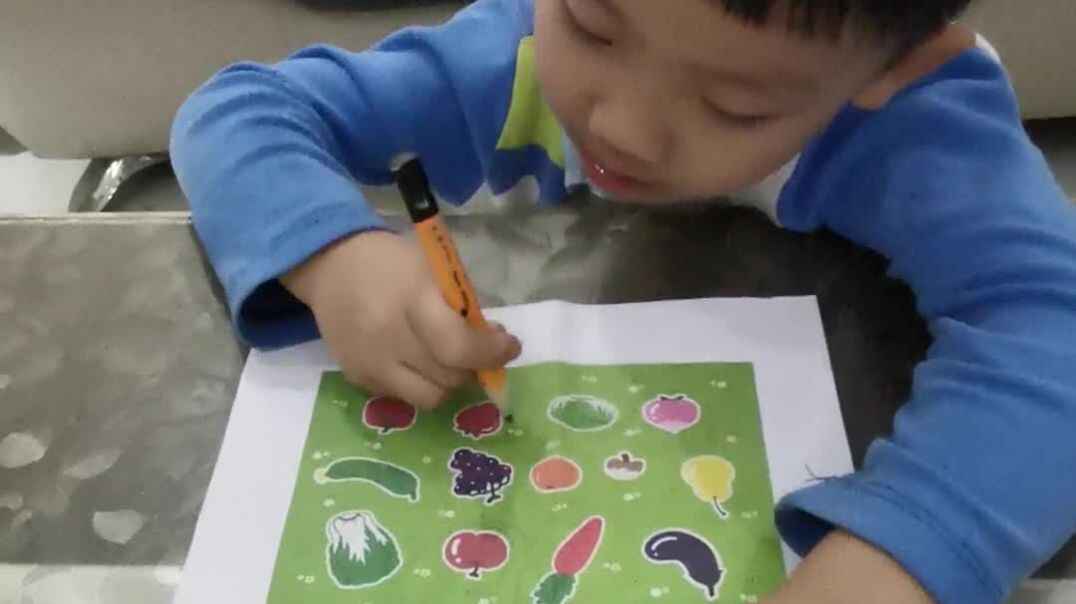 我的作业