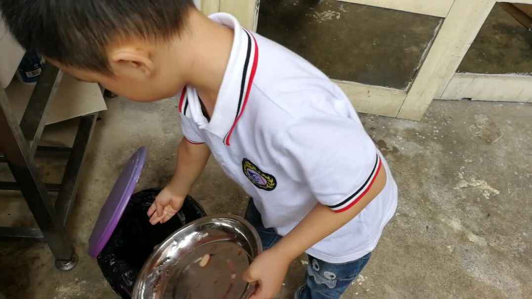 生存训练8
