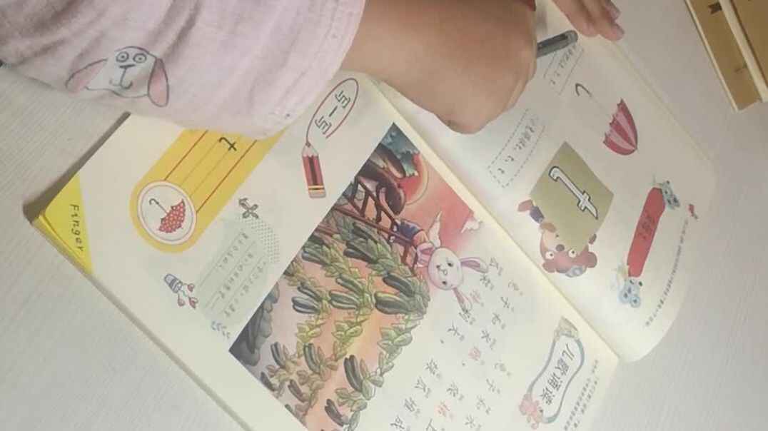 VID_20191009_073049.mp4