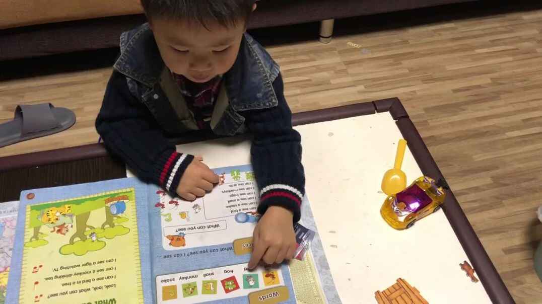 实验中班2019年10月28日家庭作业-21号