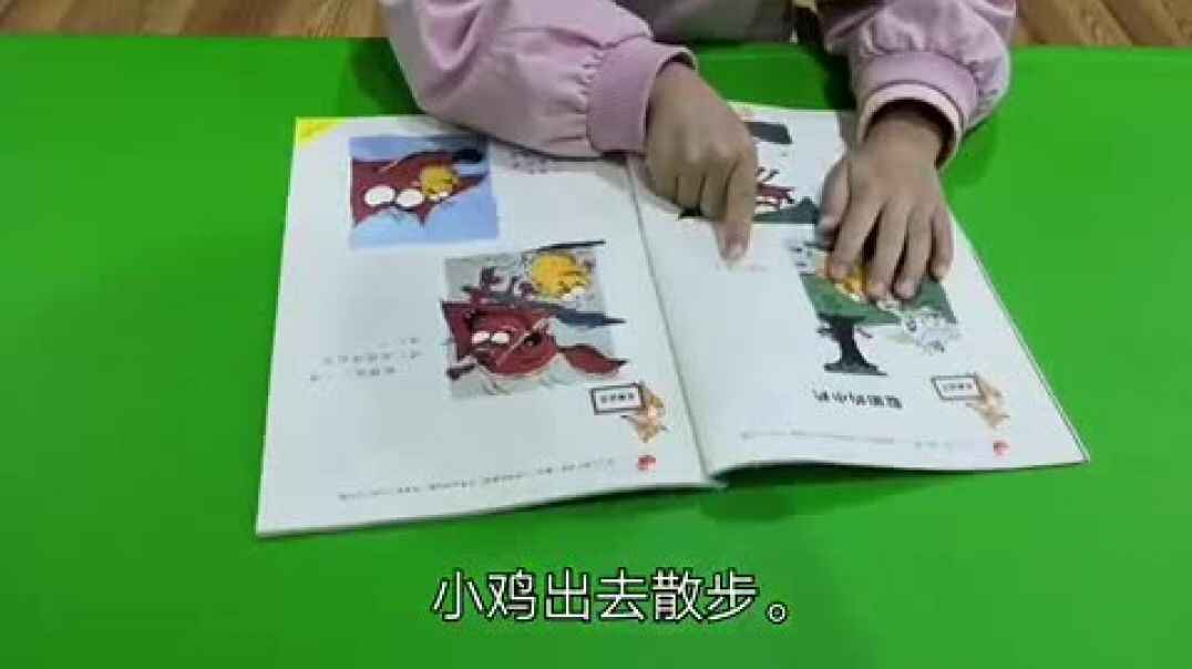 聪明的小鸡
