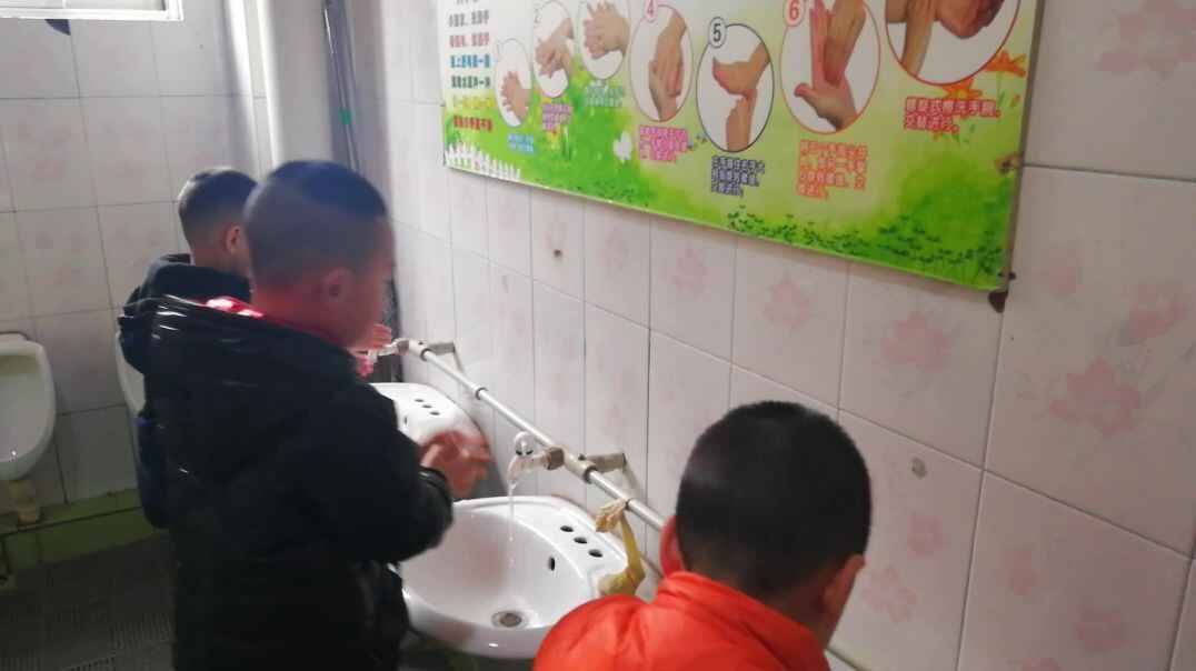 自我组织课程  生存训练
